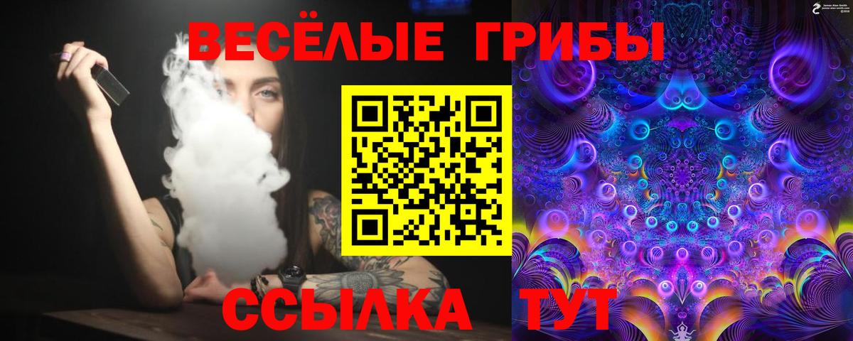 Бийск  Галлюциногенные грибы Psilocybine cubensis  Вход с VPN 